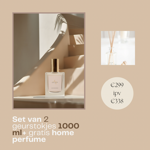 Set van 2 geurstokjes 1000ml + GRATIS flesje home perfume